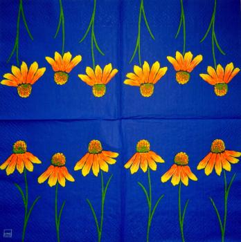 348 Daisies - 3-ply - CS